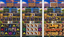 In the image, divided into three parts, you can see the Big Five slot game screen at different times of the game. On the reels there are several symbols related to the theme of the machine, the African savannah, such as lions and buffaloes.